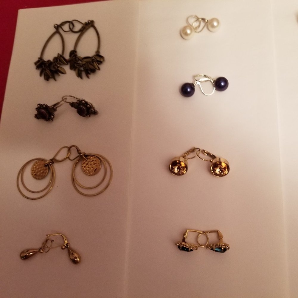 Earrings